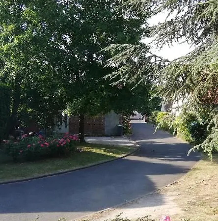 Le Cedre Bleu Bed & Breakfast *